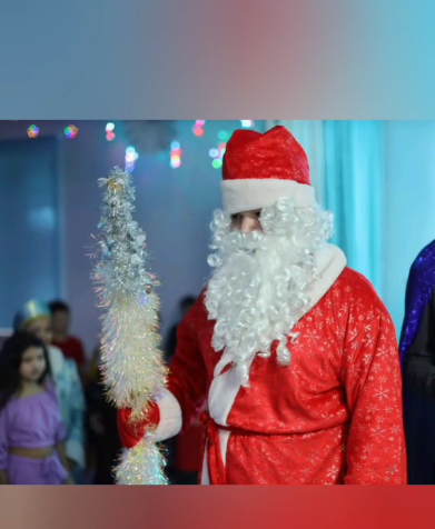 Новогодние Ёлки